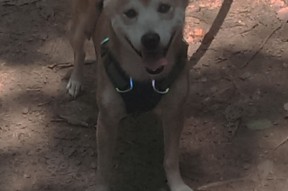 爱游戏体育在线app-_NBA总决赛：湖人队与凯尔特人队的巅峰对决_，总决赛湖人vs凯尔特人视频