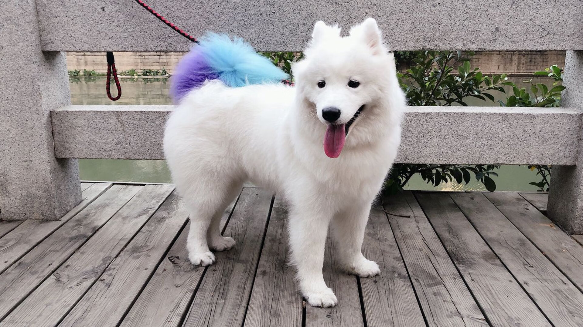 _潜水运动新体验：探索深海中的神秘世界_，潜水运动介绍