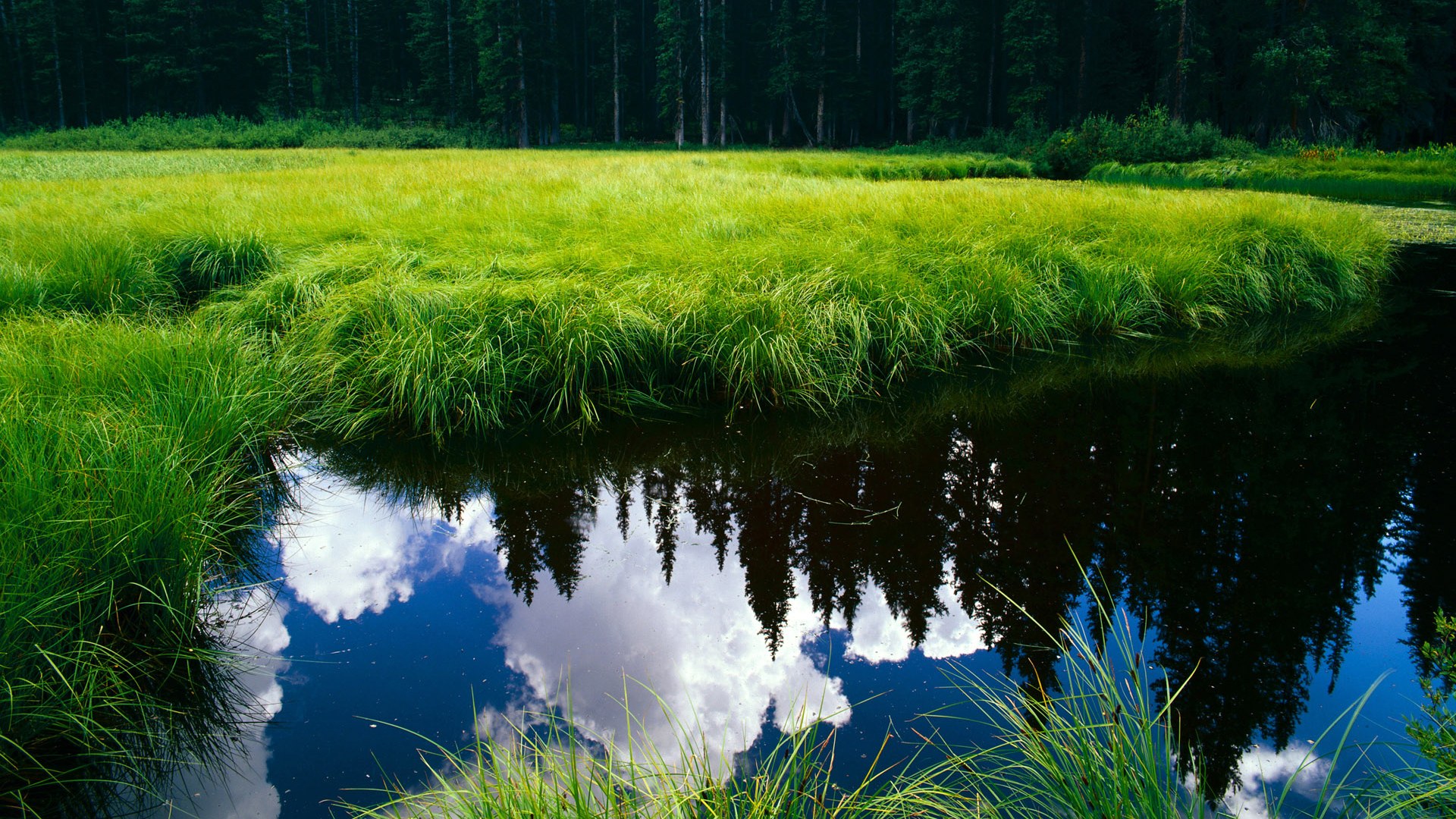 “青少年足球选材大会圆满结束,培养未来之星”,中国青少年足球选拔机制