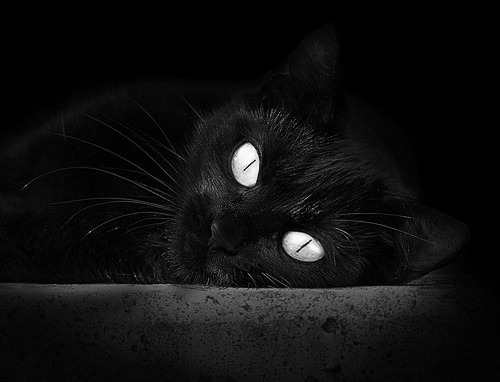 中国足协与FIFA合作,推动足球发展,中国足协合作伙伴