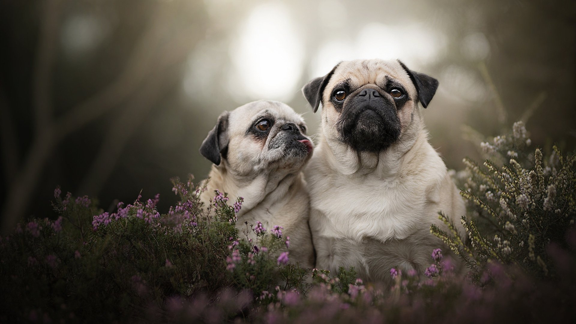 右脑运动会:智力与体能的双重考验,右脑活动项目有哪些